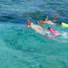 Mission Beach Reef Day Tour