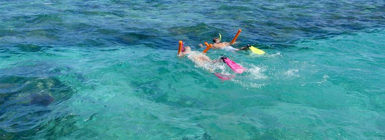 Mission Beach Reef Day Tour