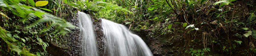 Mission Beach Waterfalls