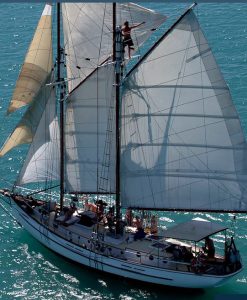 Whitsunday Sailing